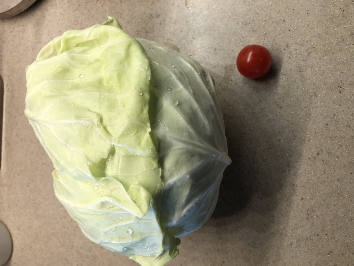 powellm's tweet photo. Summer Time Fresh Garden Treats!  Are you ready to grow real food at home? https://t.co/6lRyqLJEFW https://t.co/kLeRiKQMkw