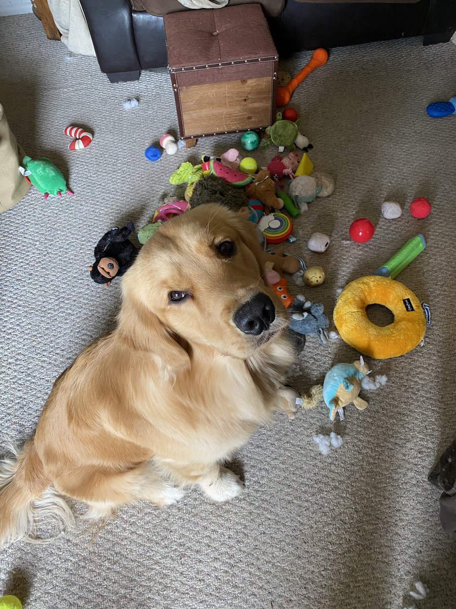 Uh... it’s not what it looks like!