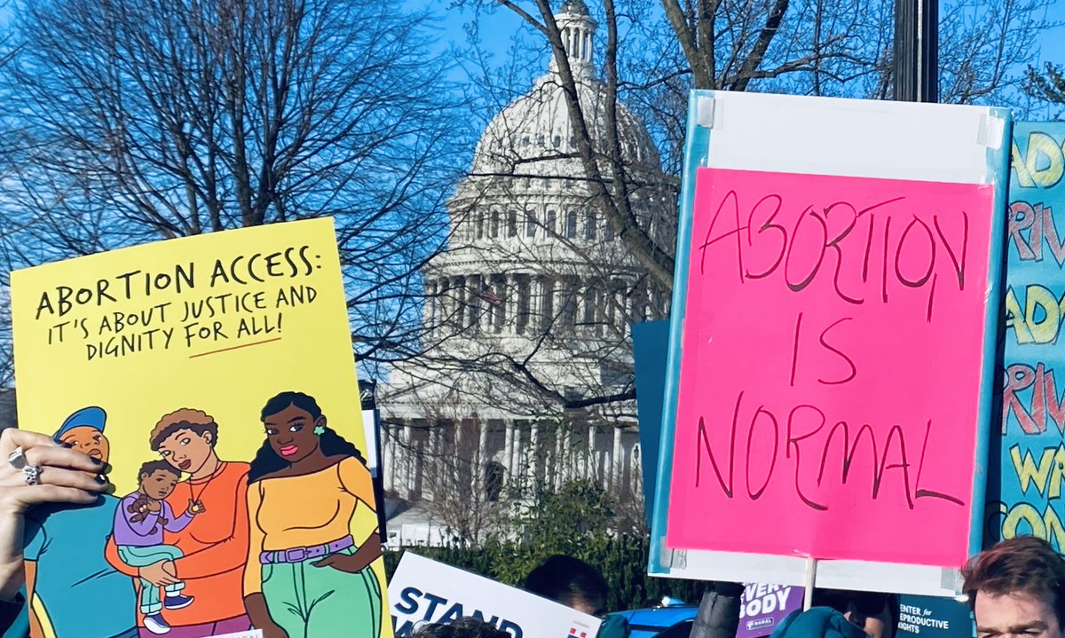 Protest signs in DC read "Abortion access: It's about justice and dignity for all" and "abortion is normal."