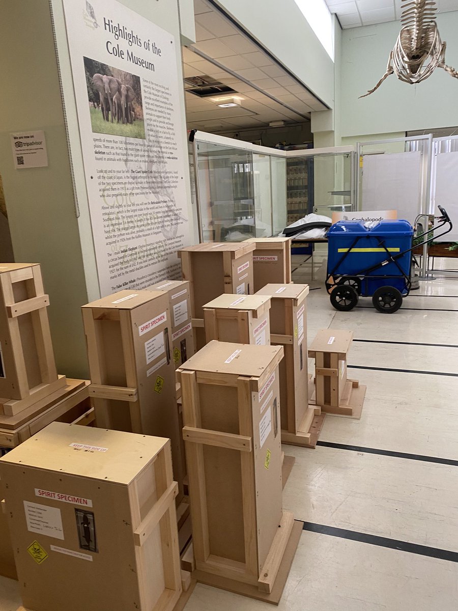 Cole Zoology Museum tweet media