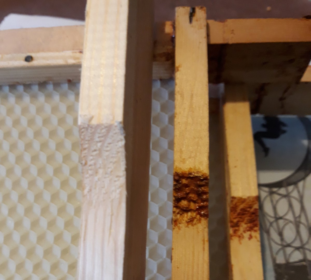AlderleyBees's tweet photo. @margaretginman A rainy day job, making up unwired frames using SN4s. I've only just noticed that the rough bit on the side bar is propolised over on these frames - the lower 2 were in hives briefly last year. A rough patch means little to us, but obviously a lot to the bees. https://t.co/SIYazpBqhe