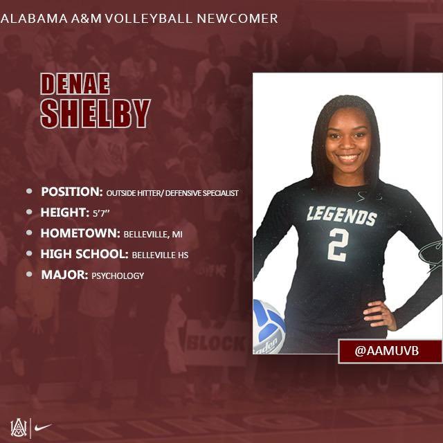 Alabama A&M Volleyball tweet media