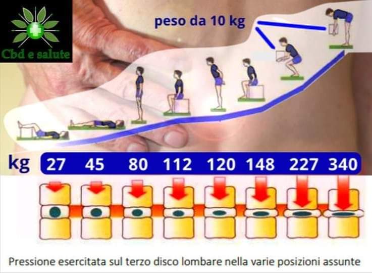 cbdesalute's tweet photo. 𝐕𝐢𝐭𝐭𝐢𝐦𝐞 della nostra #schiena o 𝐜𝐨𝐦𝐩𝐥𝐢𝐜𝐢 inconsapevoli ?
Maggior pressione significa maggior usura del disco e #dolore
Le posture fisse assunte per lungo tempo, sovraccaricano e mantengono compressi i dischi intervertebrali
#lombalgia #ernia #cbdoil #CBD #oliocbd https://t.co/i1kM4ko1xc