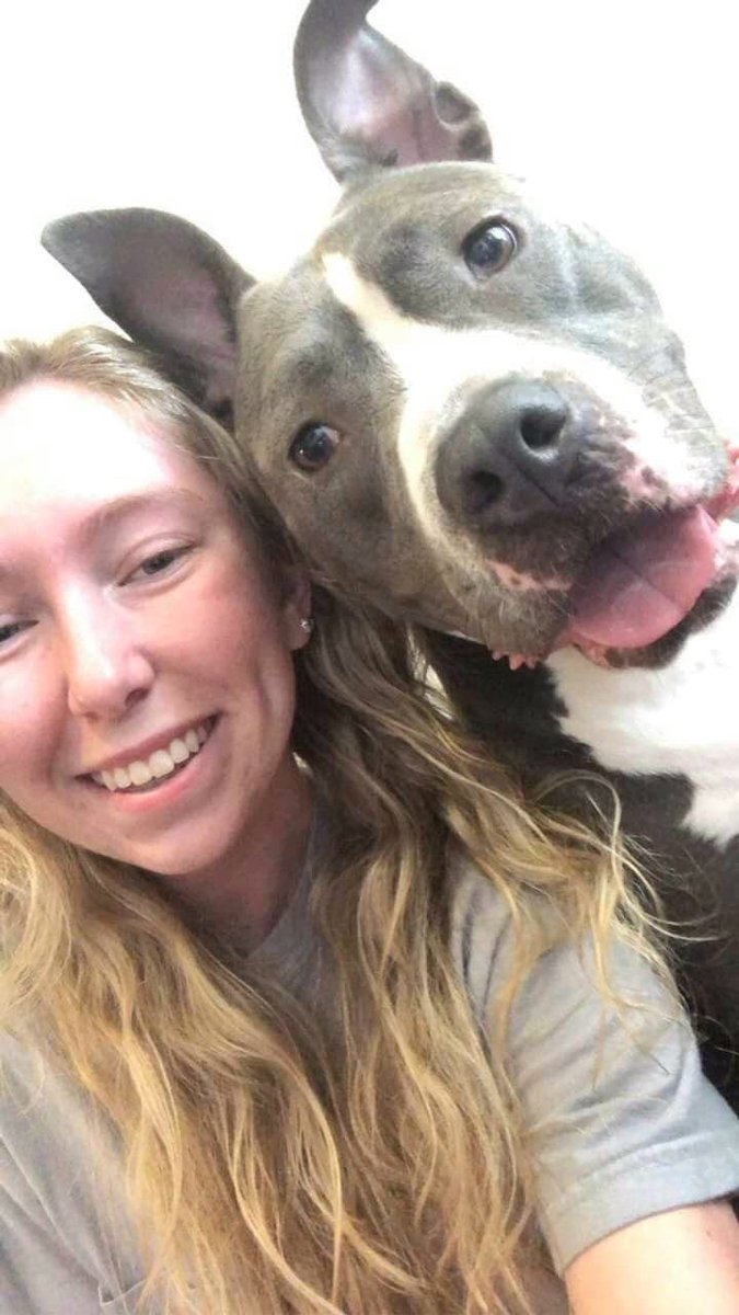 We are certain that the ability to have a trainer work with her and our fosters led to Mims being an adoptable dog.
Thank you, <a href="/PedigreeFound/">PEDIGREE Foundation</a>!! (3/3) #pedigreerescues #adopt #volunteer #rescue