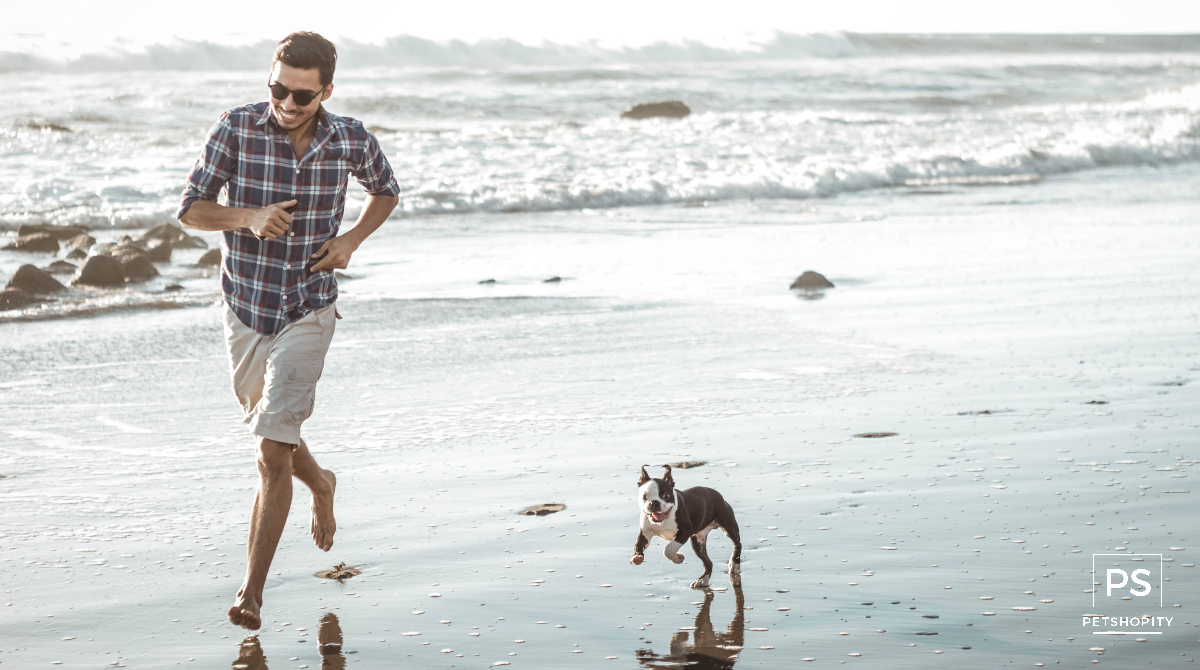 PetShopity's tweet photo. Playing on the beach with your dog is great exercise for you both - plus it's Int'l Mud day - make some mud memories!
Photo credit to Kareli Lizcano.
#internationalmudday #mudday #beachday #dogs #doglover #doglovers #petshopity #dogsoftwitter https://t.co/Yplay7S6r9