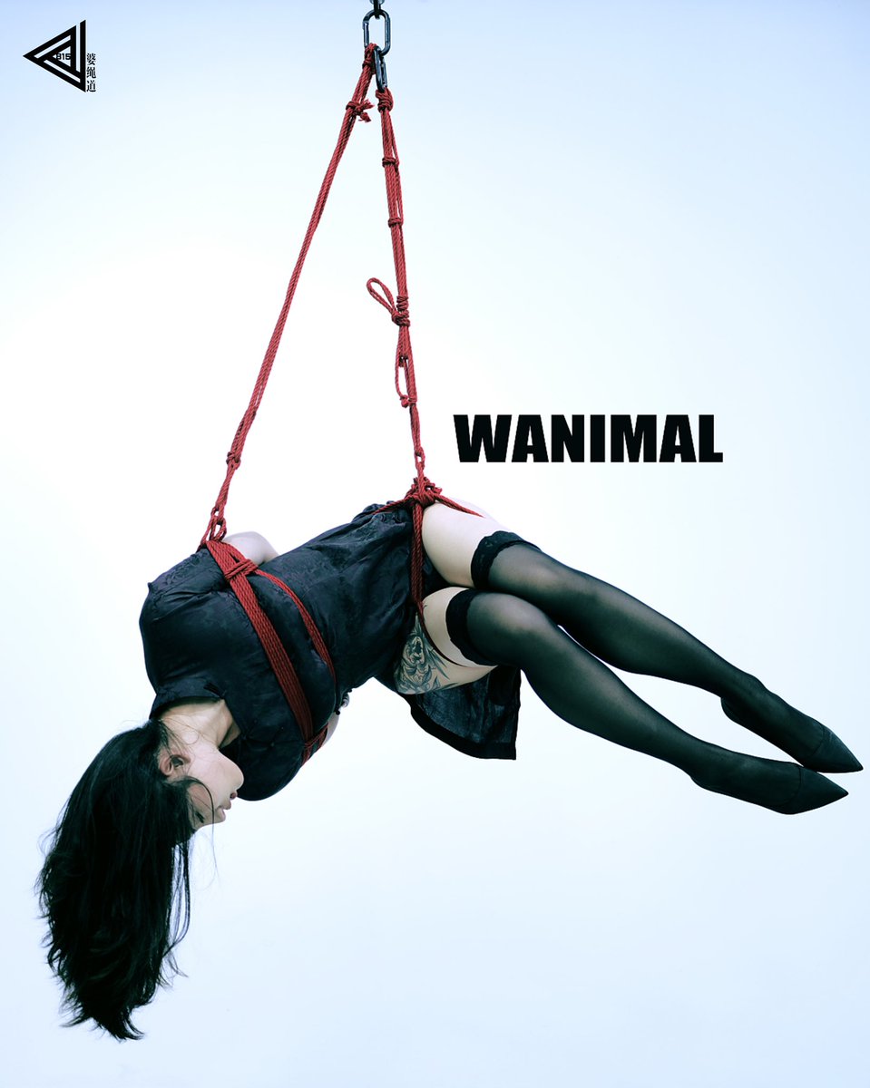 815婆绳道/艺术空间 tweet media