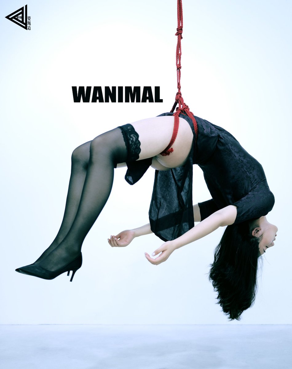 815婆绳道/艺术空间 tweet media