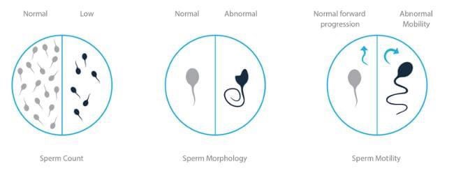 HausofHilton's tweet photo. I tak faham kenapa kalau ada pasangan yang susah dapat anak, 99% akan salahkan wanita tersebut.

Lelaki?

Contoh terbaik merokok.

Merokok boleh mengurangkan jumlah sperma, dan menyebabkan sperma abnormal.

Ini boleh menganggu persenyawaan, dan menyebabkan keguguran juga. https://t.co/psvoh70GBW