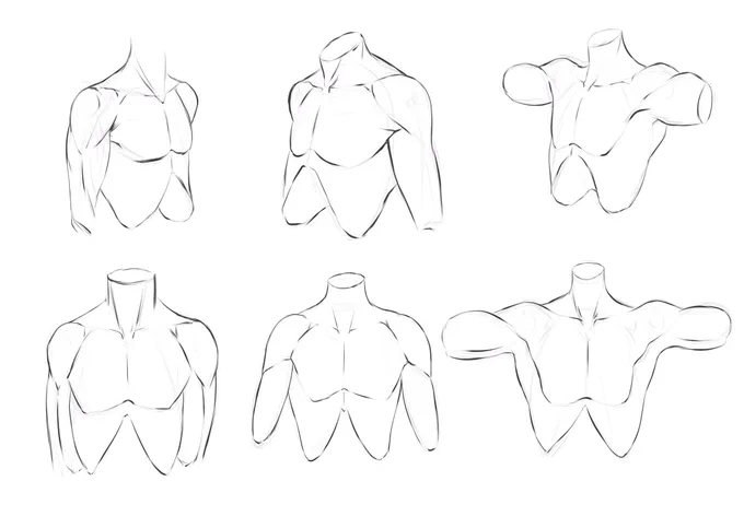上半身、上腕骨による三角筋、大胸筋動き模写練習。
#イラスト練習 