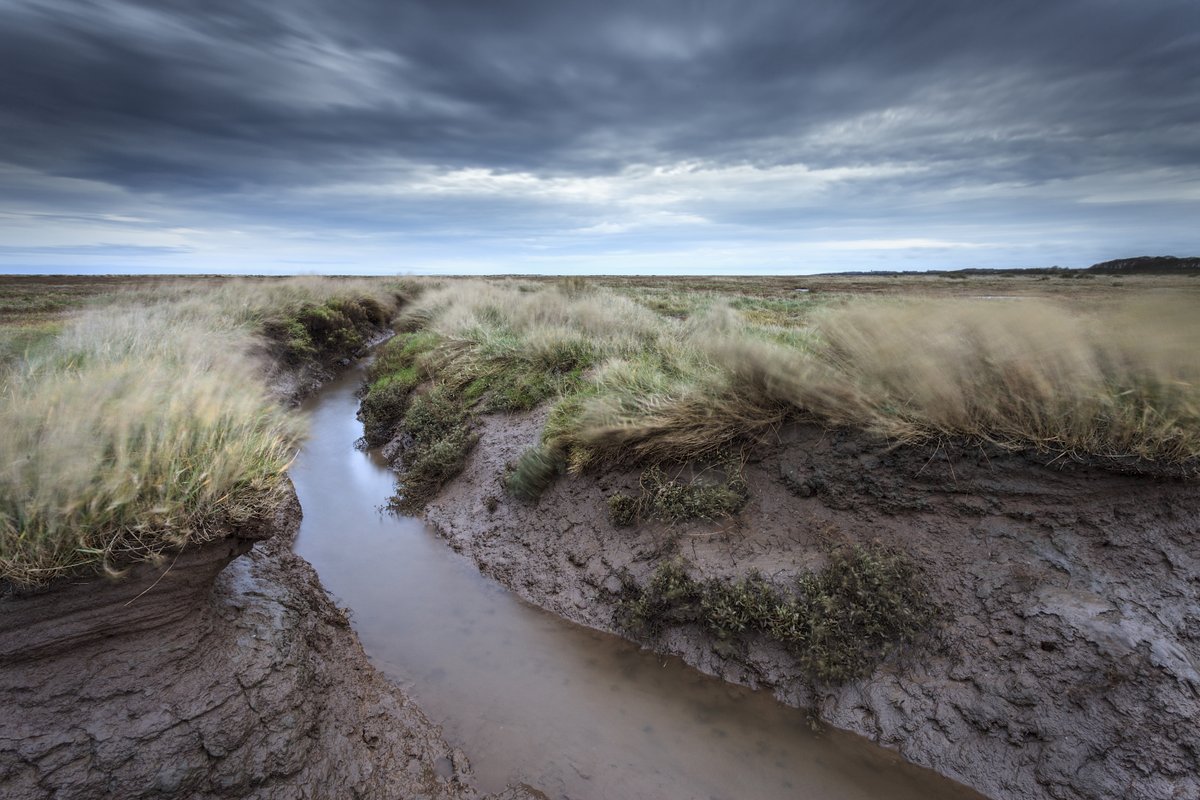Tuesday morning moment of calm... Stiffkey Saltmarshes.

#TuesdayMotivation