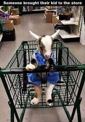 Haha..