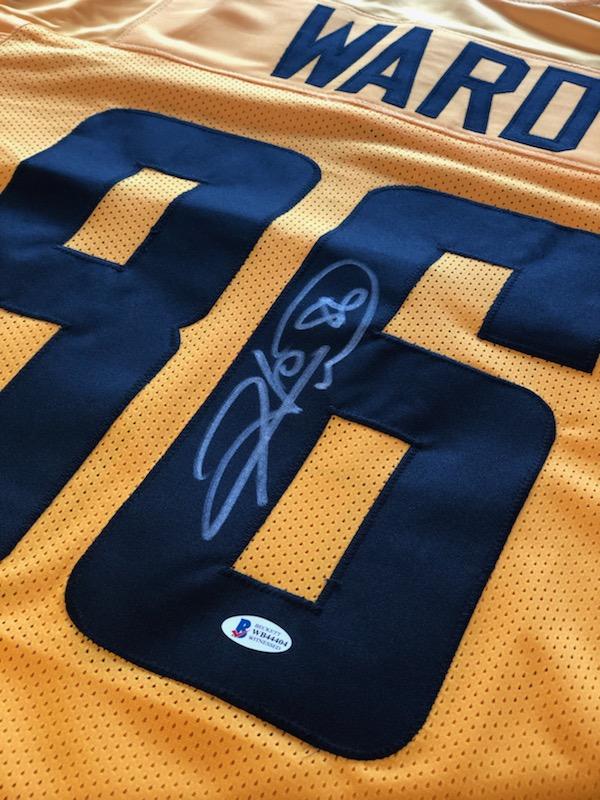 hines ward gotham jersey
