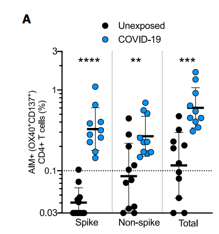 T cell responses were seen in a large number of unexposed individuals. Using blood collected from 2015-2018 and found cross-reactive responses by those T cells.Figure 2A #COVID198/x