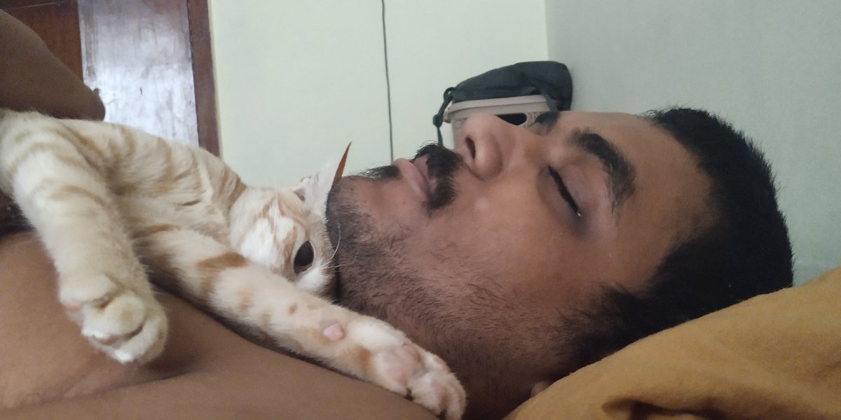 My cat cuddling with my boyfriend when I'm literally right there: a vv long thread