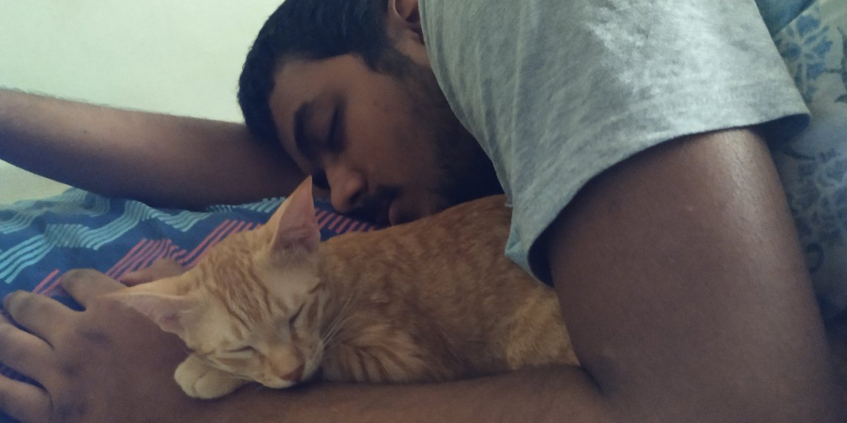 My cat cuddling with my boyfriend when I'm literally right there: a vv long thread