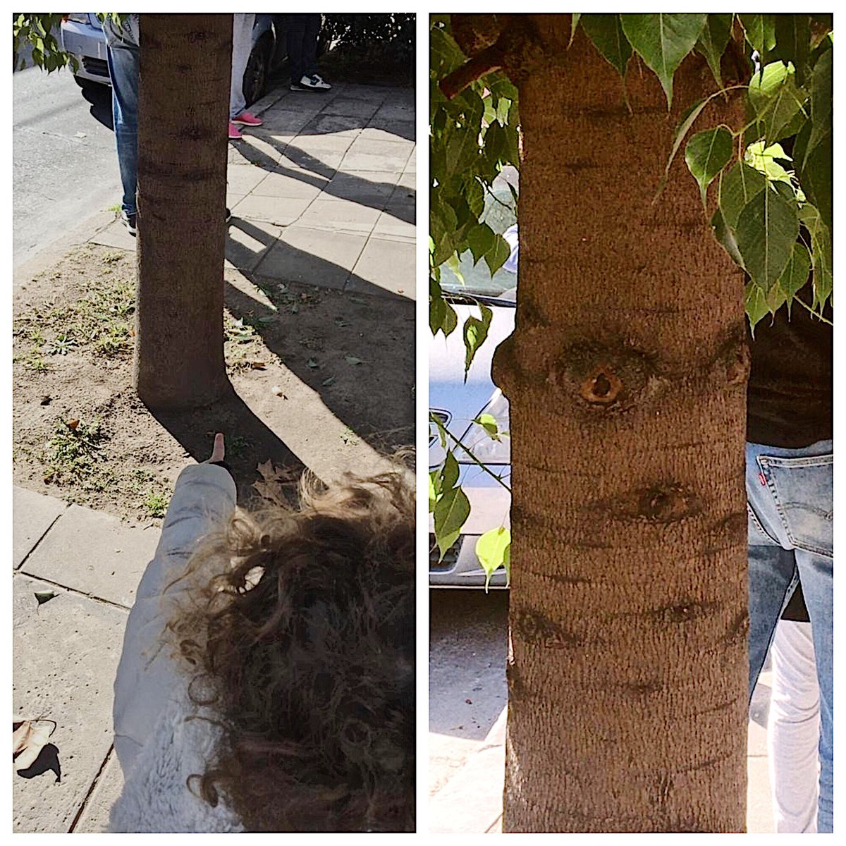 nachouresandi's tweet photo. Mira papá, el árbol con ojos ❤️👨‍👧 https://t.co/cSghZXyHyL