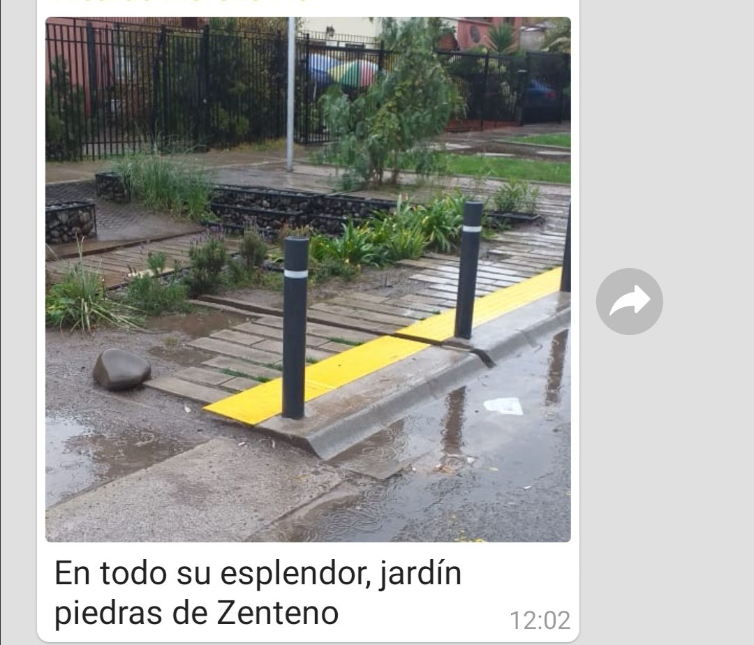Indepecleta tweet media