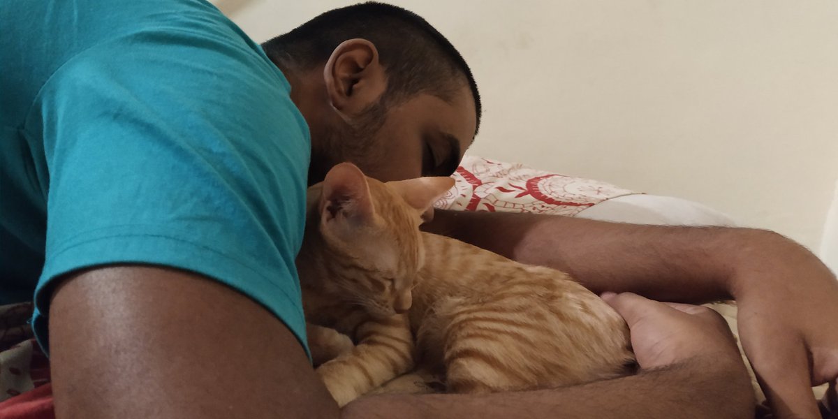 My cat cuddling with my boyfriend when I'm literally right there: a vv long thread