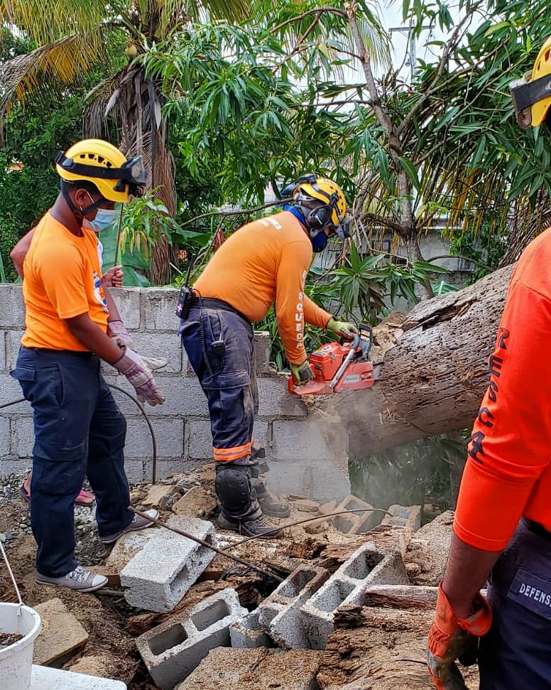 DefensaCivilPSD's tweet photo. Voluntarios de nuestra @defensacivilrd realizaron ayer domingo la poda de varios árboles que afectaron residencias en SDO.
¡Nos preparamos para servir!
.
.
#DefensaCivilPSD #DefensaCivilrd #RepublicaDominicana #VoluntariosRD #QuedateEnCasa https://t.co/PCAuYV6qOj