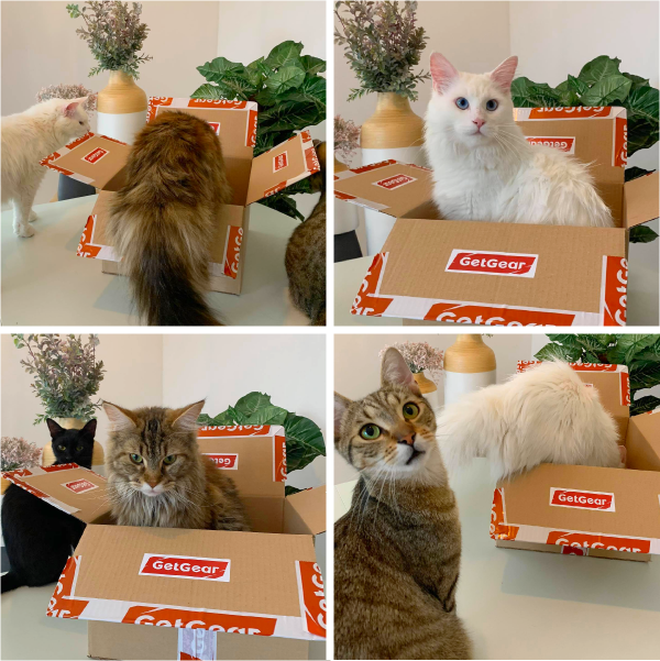 The GetGear Quality Control Team hard at work 🕵🏻‍♀️🕵🏻