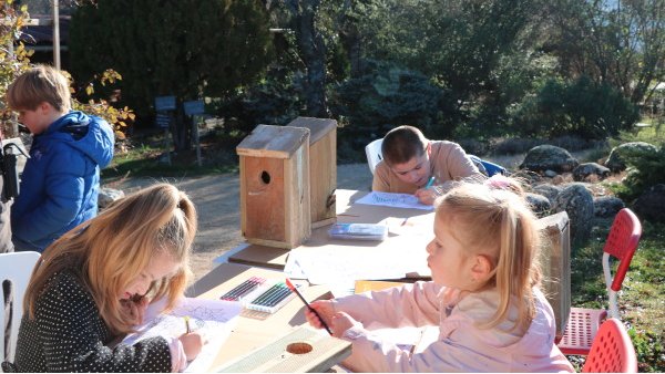 L'été à #Valsaintes (6 juillet-23 août) c'est l'assurance de découvrir le #jardin de l'#AbbayedeValsaintes en #HauteProvence près de #SimianeLaRotonde. Pour suivre des enseignements #bio de #JeanYvesMeignen et comprendre les techniques de la #permaculture valsaintes.org