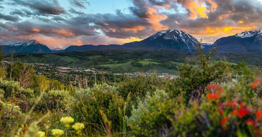 #Wildflower season is here!