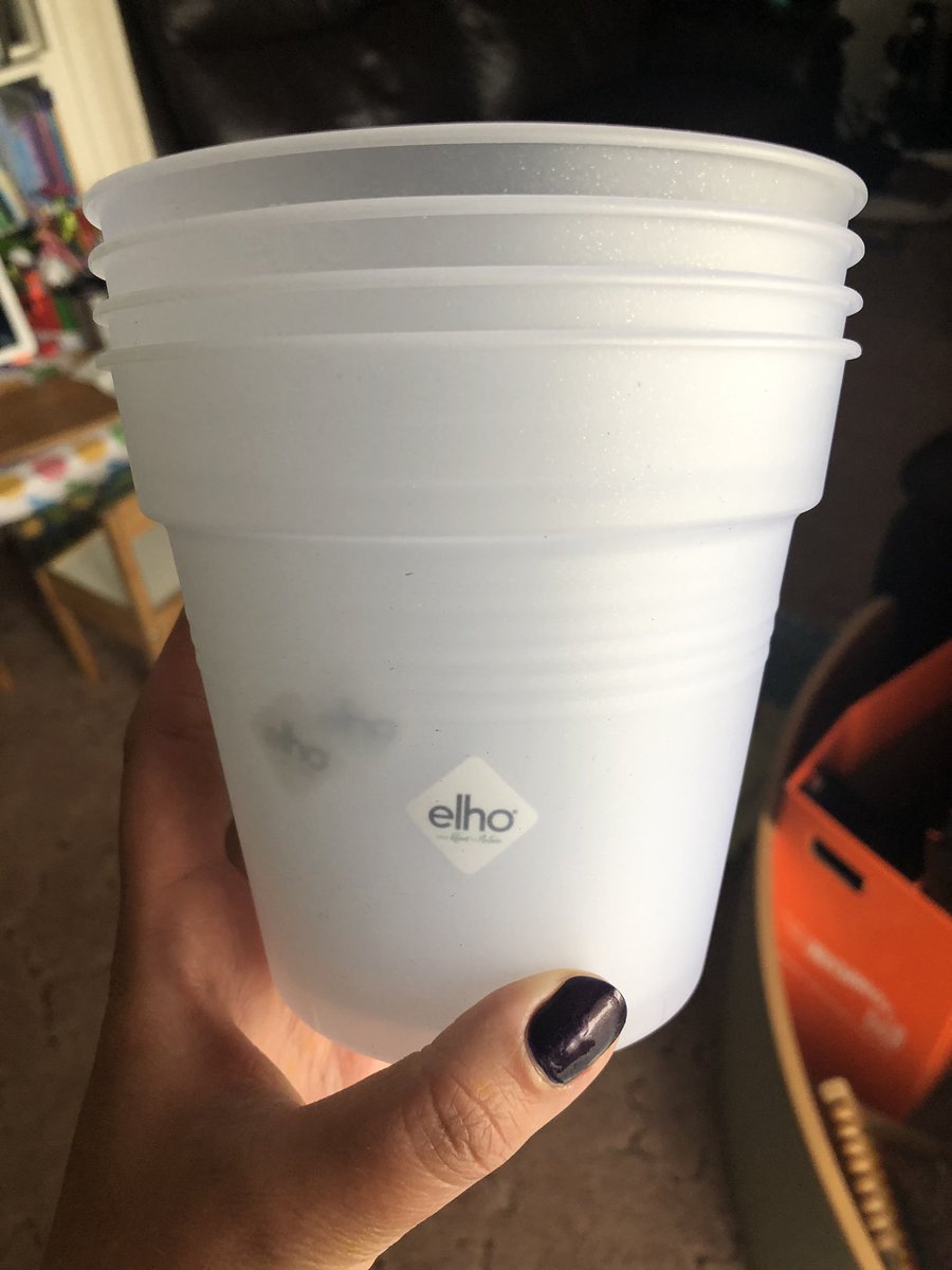 Marina Simmonds tweet media