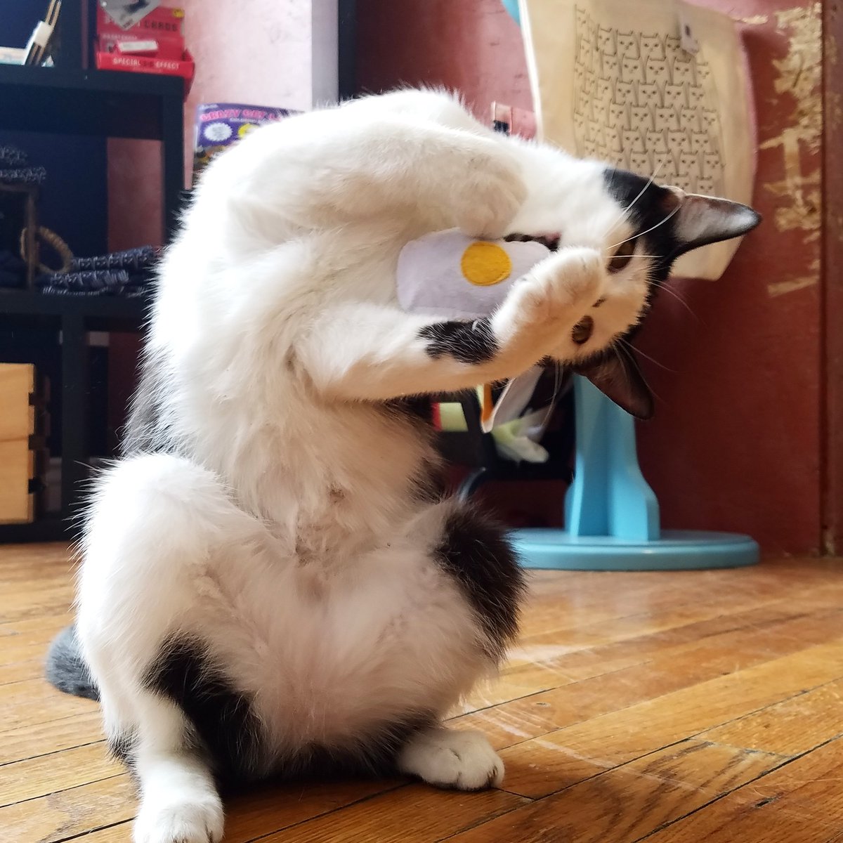 Breakfast is the most important meal of the day