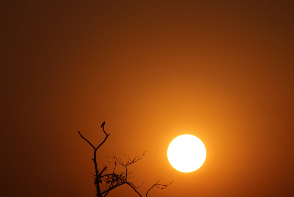 The sun is a beach ball covered in sand,Warming up this little land. . . #sunofnortheast #sunrise  #sunsetphotography  #landscapephotography  #goldenhour #nature