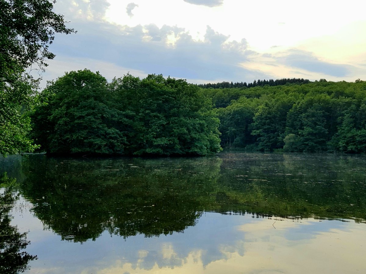 Seit Mitte der 90er Jahre ist die „Krombacher-Insel“, unser #AufschlussderWoche, im TV-Spot zu sehen. Diese liegt in der Wiehltalsperre, die das Trinkwasser des gesamten Oberbergischen Kreises (ca. 500.000 Menschen / 25 Mio. m³ Wasser) liefert. 
Weitere Infos in der App 😎