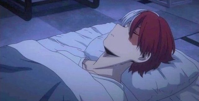 todorokihalfsho's tweet image. here's sleeping shoto todoroki to bless your timeline