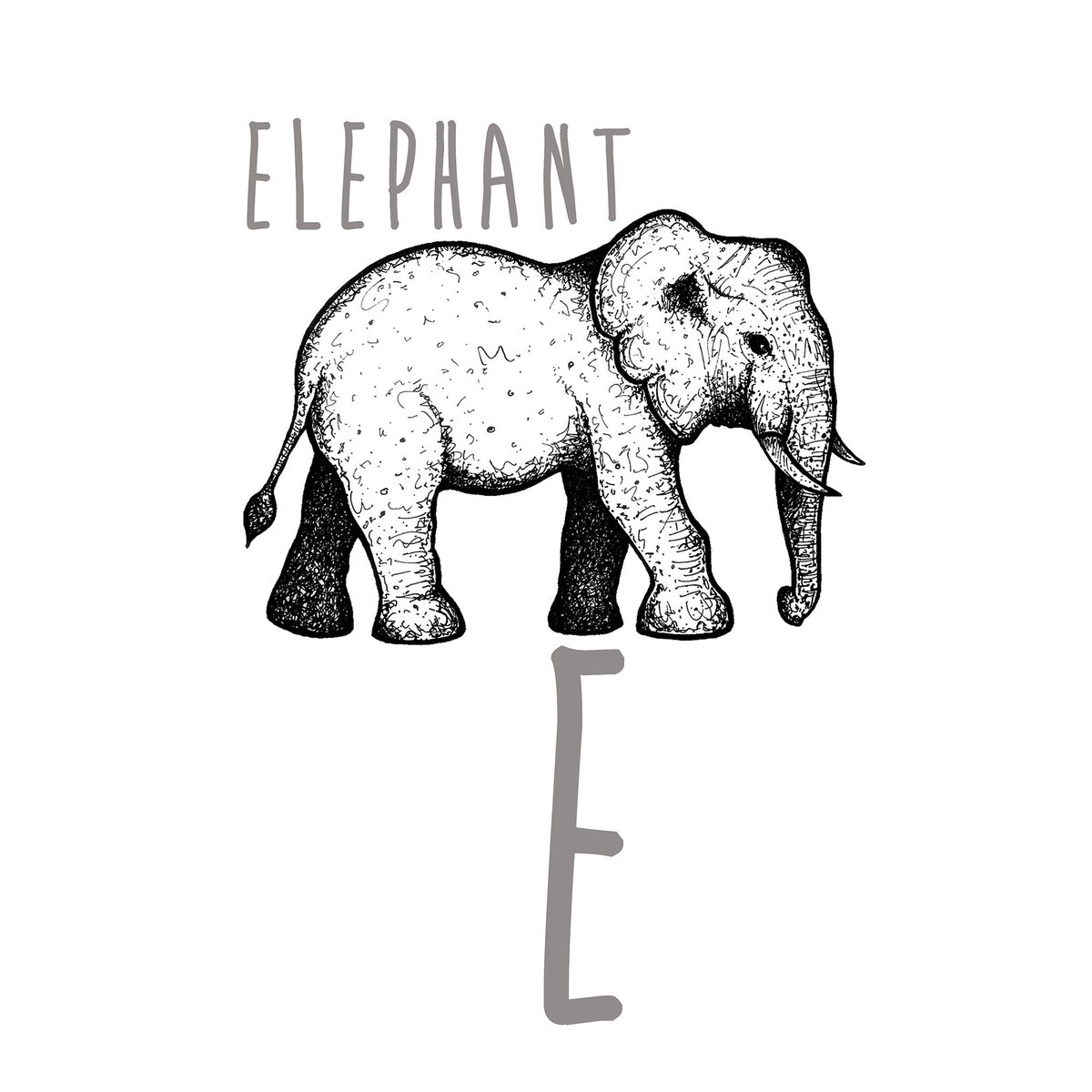 JPercivalPrints's tweet photo. E is for...
⠀⠀⠀⠀⠀⠀⠀⠀⠀⠀⠀
It’s day 5/26 of my new project called ‘Animal Alphabet’
⠀⠀⠀⠀⠀⠀⠀⠀⠀⠀⠀
#animalalphabet 
#alphabetdrawing
 #animaldrawing 
#elephantdrawing
#elephantlovers 
#elephantillustration https://t.co/jjzrCQTJUl