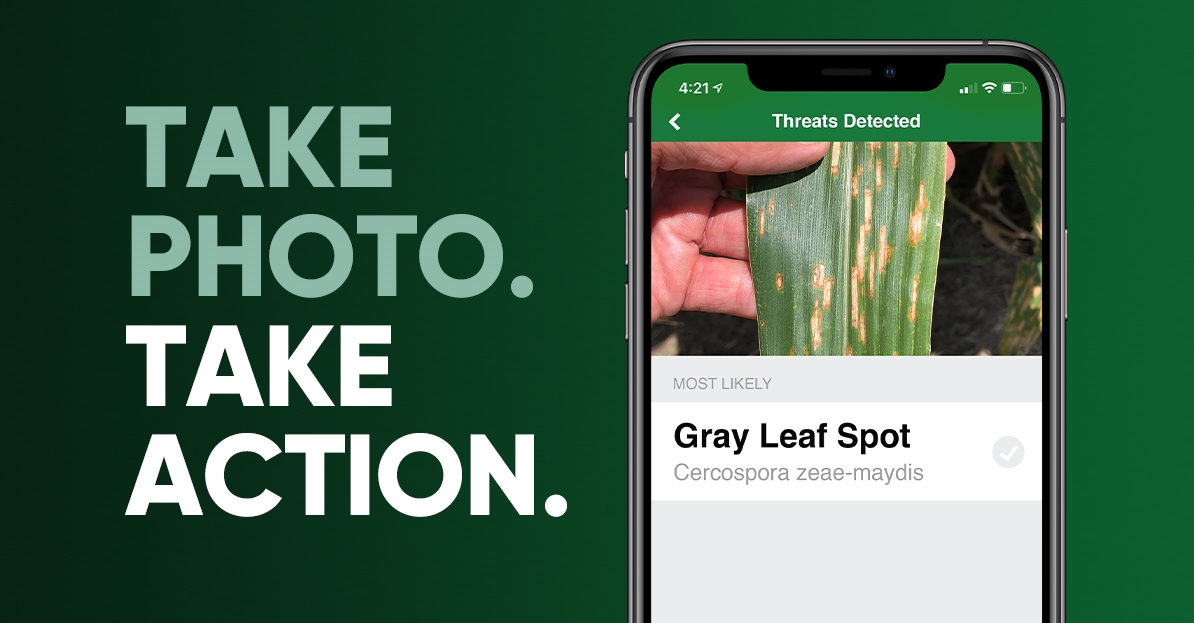PioneerSeeds's tweet photo. Introducing ThreatID: Snap a picture 📷 and receive results in seconds 🕑 It’s really that easy! Access this tool in the Pioneer Seeds mobile app.