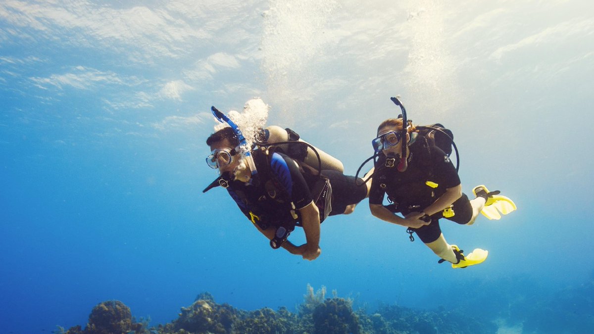 Who's your dive buddy?! facebook.com/groups/txdiveb…
#scuba #scubadiving #txdivebuddies #TheScubaRanch