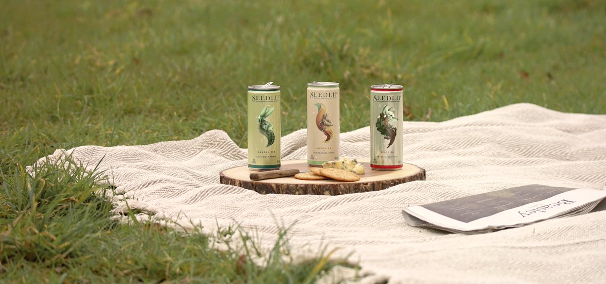 trio of tinned seedlip products on a lawn