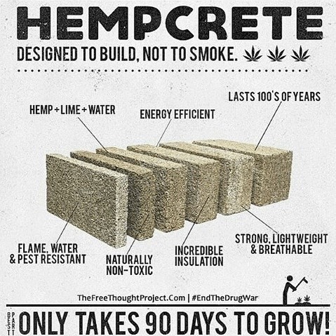 Future World Healing ☀️ tweet media