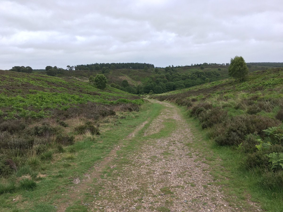 Tim Thurlow tweet media