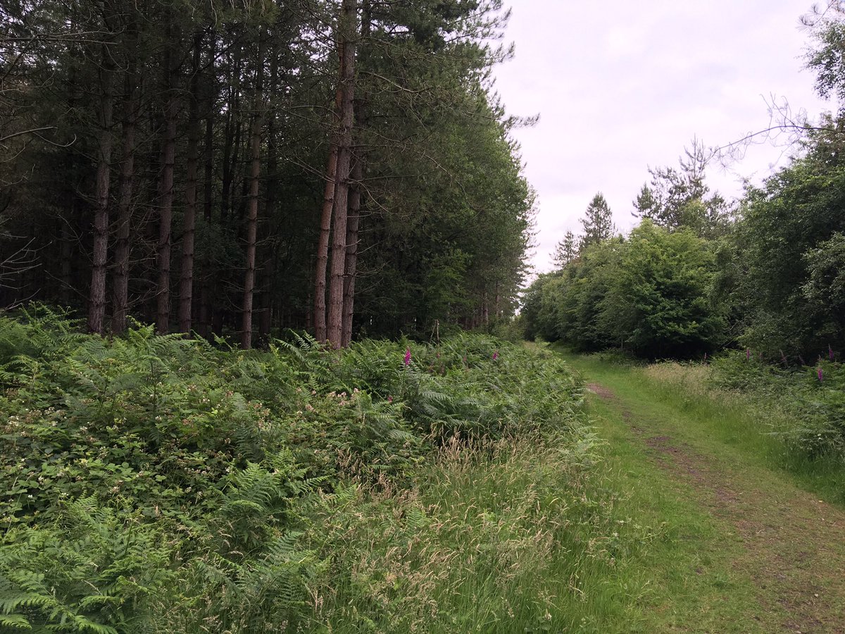 Tim Thurlow tweet media