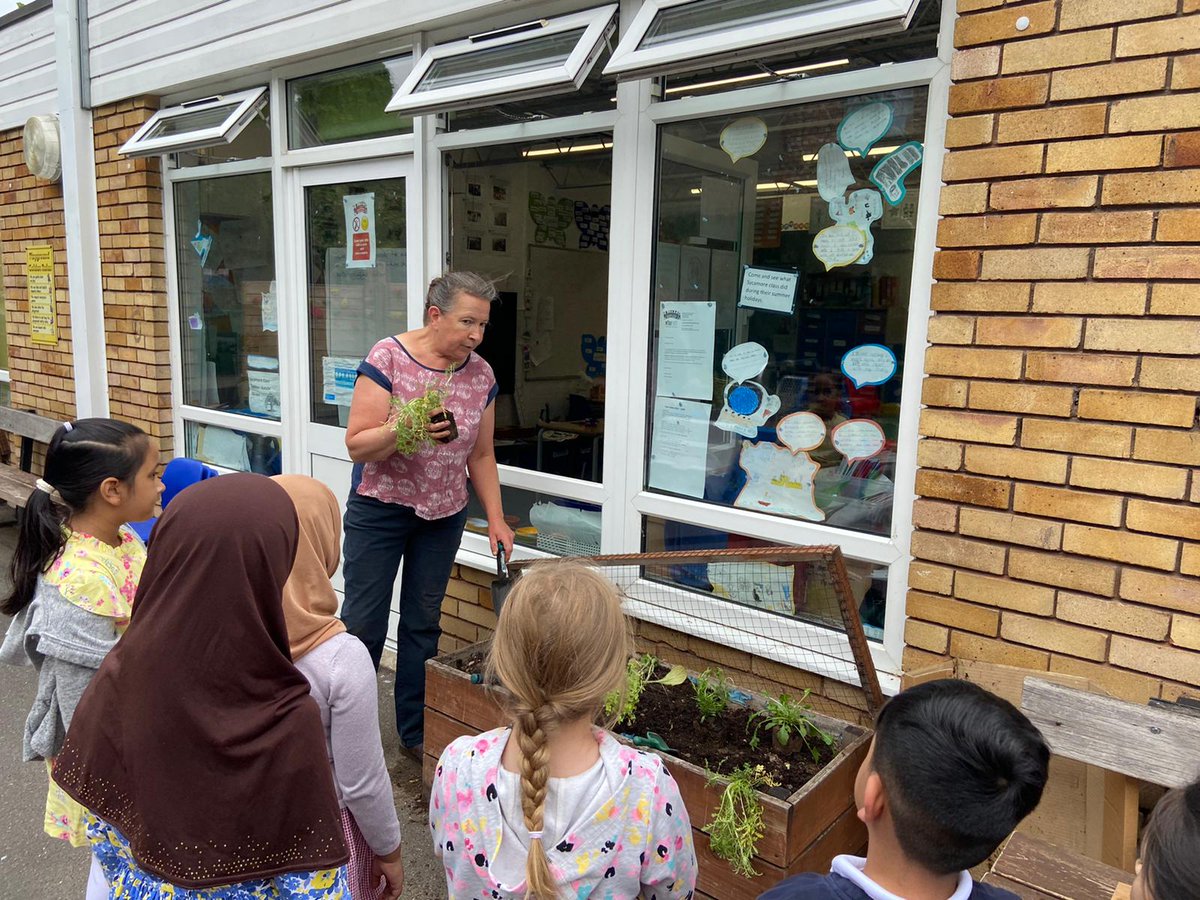 ElizabethSelby's tweet photo. Children planting bee-friendly plants this morning. We're hoping to have our own beehive my the end of next summer. #honeybeeprogramme @WholeKidsFnd @LondonBeeKeeper 🐝 🍯 https://t.co/IaYObpeZFE