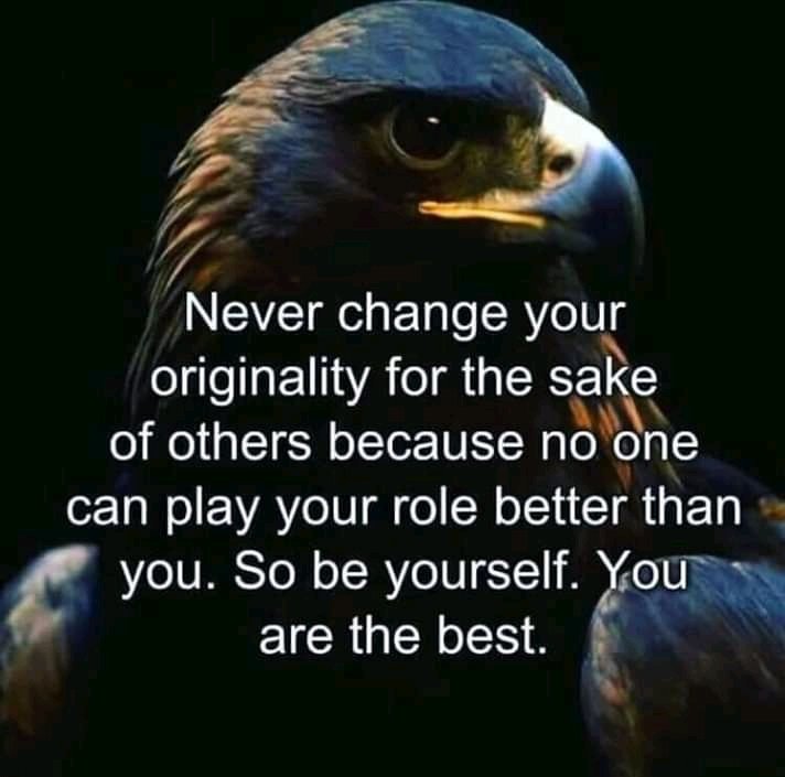 Richard Nelson (@richard52417181) on Twitter photo 