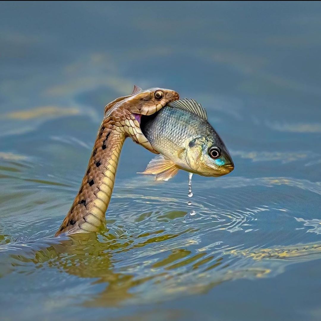 Caption please 😍😍

#photography #wildlife #love #cute #animal #photo