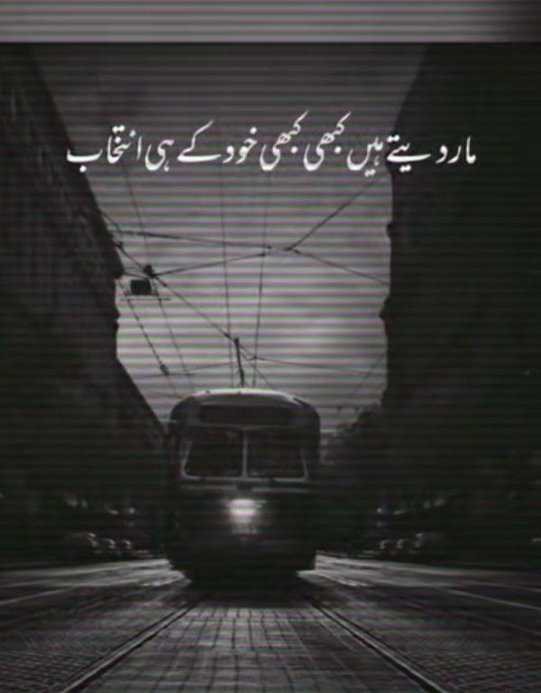 Zara khan tweet media
