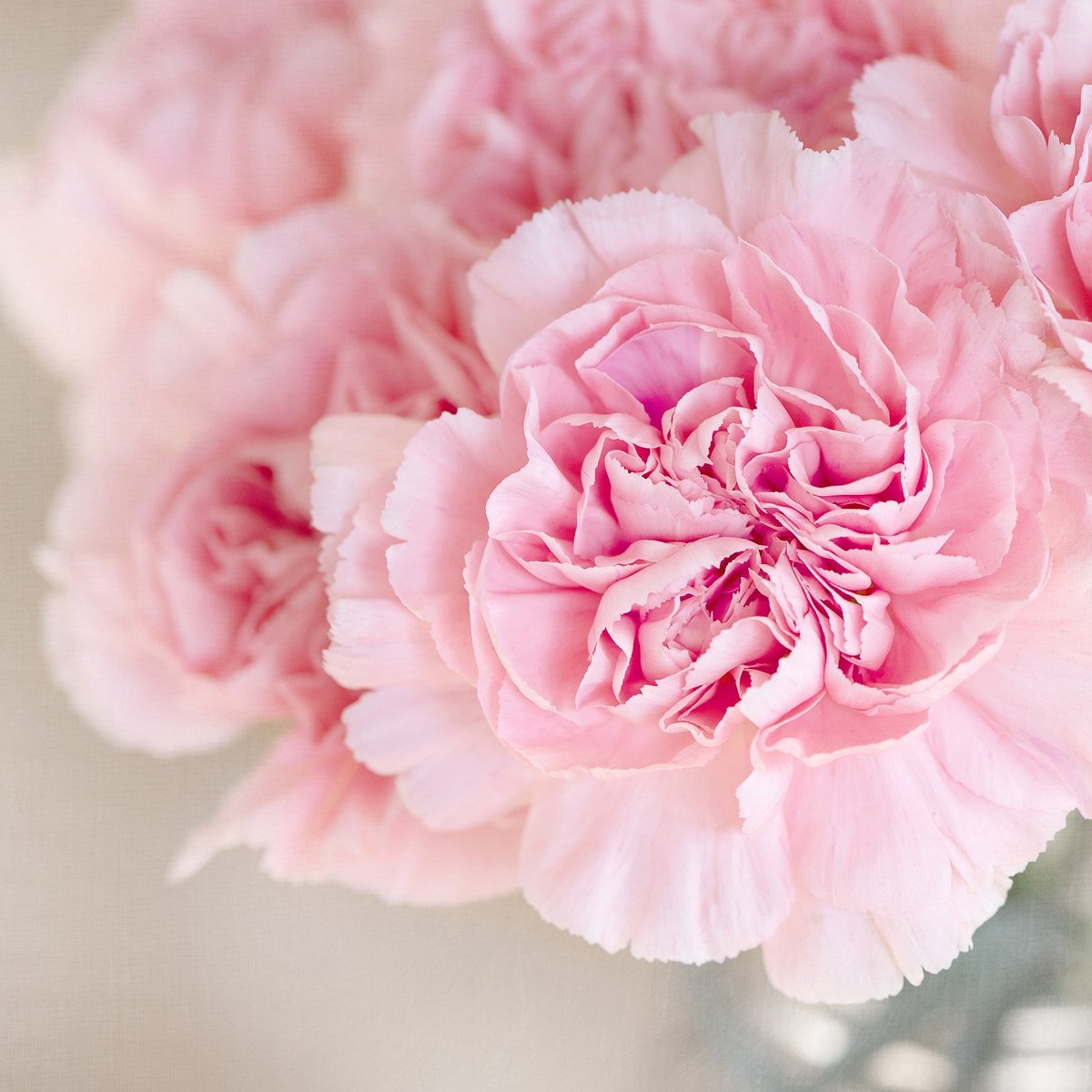 zoriedesign's tweet photo. { 🌸🌸🌸 }
https://t.co/WD5Az2l8RV
#inspirationiseverywhere #nature #blooms #pink #flowers #naturalbeauty #beautifulblooms #floral #wedding #invitation #design #letterpress #letterpressprinting #stationery #weddinginvitations #zorie #zorieinvitations #zorieliving https://t.co/i0ib20CcaL