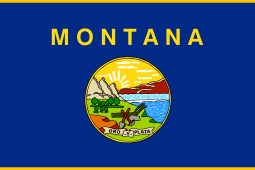  After starting with an unrecognizable state seal, a few states decided to make matters worse BY ADDING THE NAME OF THE STATE TO THE FLAG. Ladies and gentlemen.... these are THE BAD FLAGS