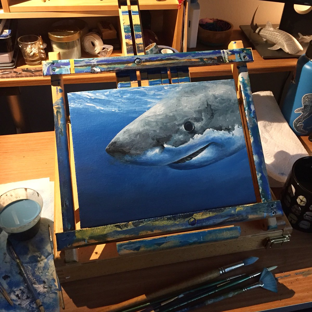 I should definitely be keeping up to date on this account more! To make up for the long absence, here’s a quick white shark portrait I painted a couple of months ago, using the wonderful <a href="/GeorgeProbst/">George Probst 🦈</a>’s photos as inspiration.