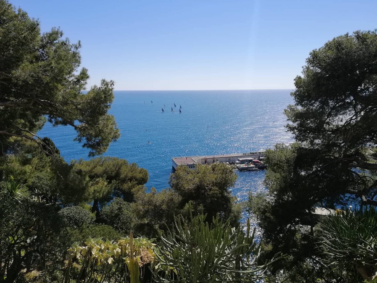 Day 7/7 😉 #mylifeinpictures. No people, no description. Challenge someone everyday. I was challenged by <a href="/AsmaEnnaifer/">Asma Ennaifer</a> and to day i challenge <a href="/Ahmedbensaid001/">Ahmed Ben Said</a>