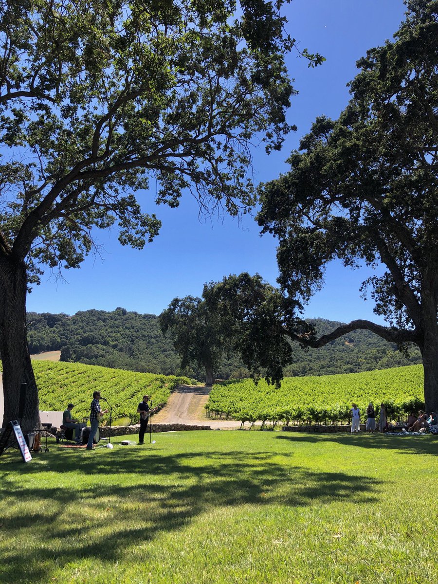 DestinationDRVR's tweet image. Wine Tours are back. Get one while you can destinationdrivers.com #mondaythoughts