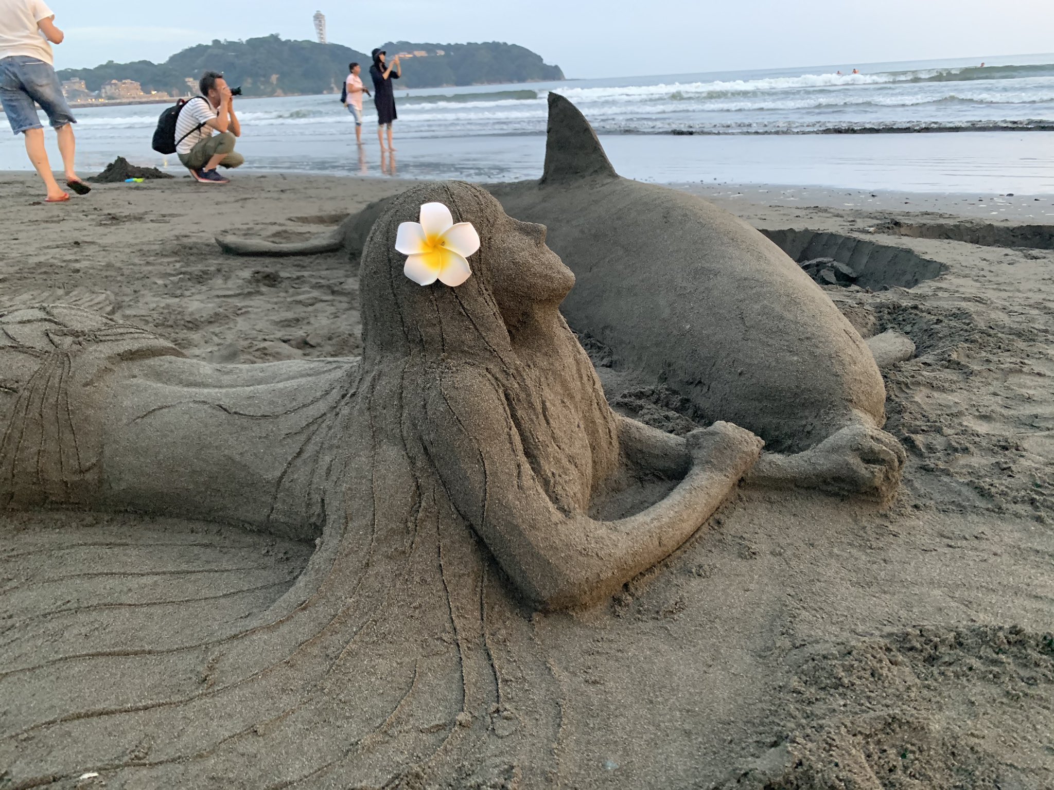 江ノ島イルカ部@砂イルカ on X: 