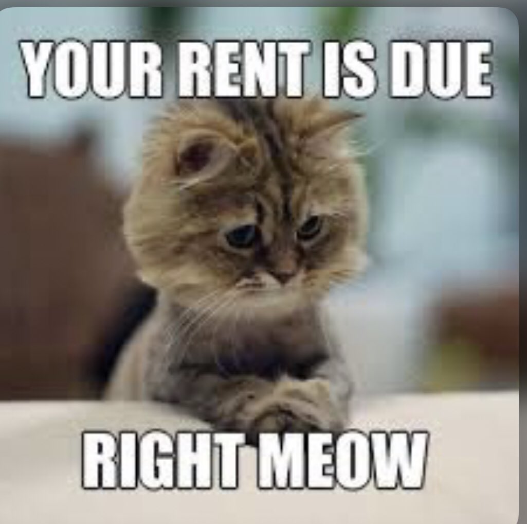 AVReneeKC's tweet image. Day 21 of 30 #av30daychallenge 
Hmmm....I think I’d go into real estate &amp;amp; also invest in property. I’d be the coolest slumlord ever! 💰 #avteeeps