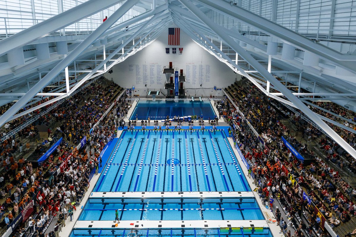 Swimmers be like “I know a spot” and then take you here